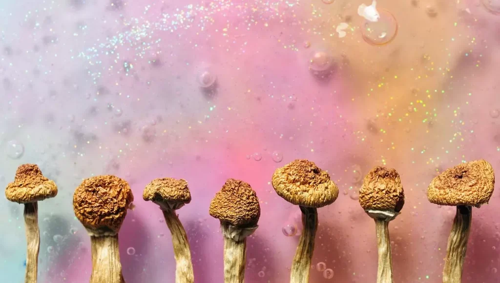 the felony reputation of Psilocybin Spores