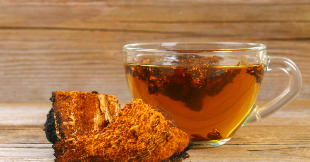 Health Benefits of Drinking Mushroom Tea