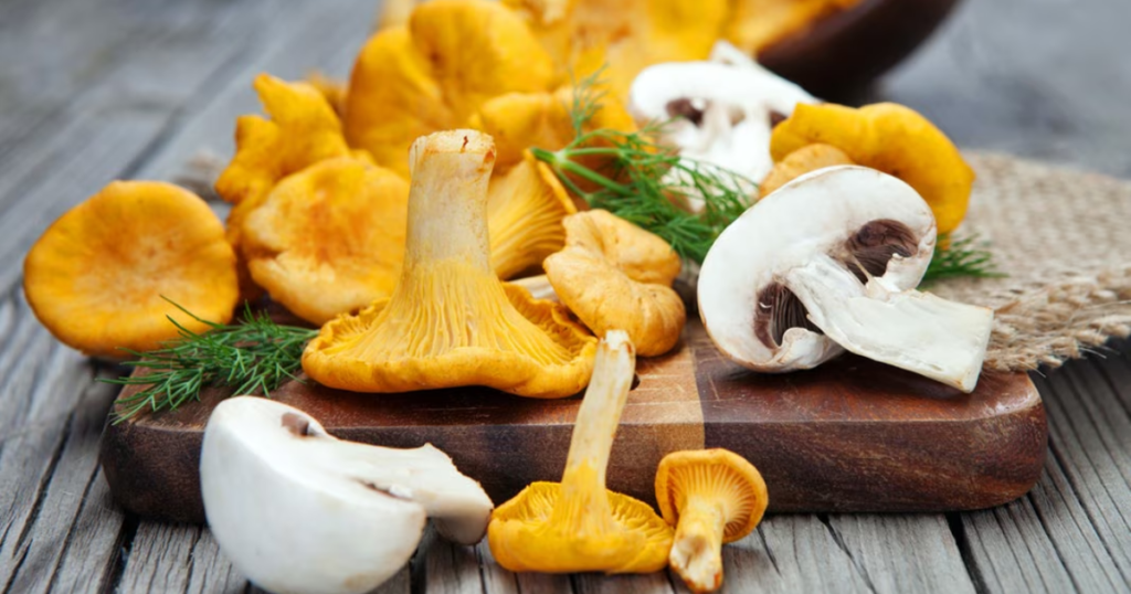 Chanterelle Mushrooms