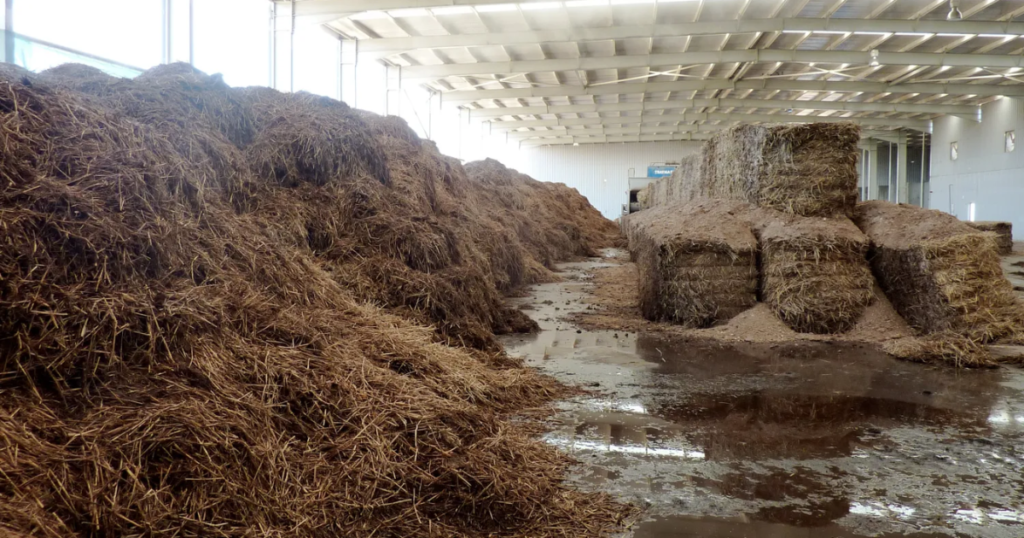 Mushroom Compost